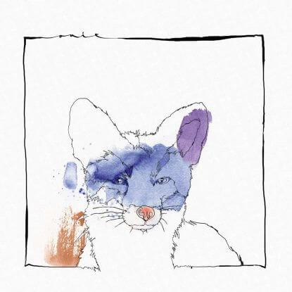 NICO STOJAN / CARDANO EP