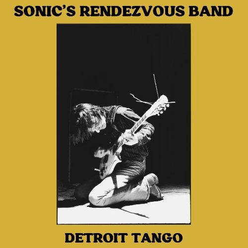 SONIC'S RENDEZVOUS BAND / ソニックス・ランデブー・バンド / DETROIT TANGO（BLACK 2LP) / DETROIT TANGO (BLACK 2LP)