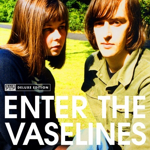 VASELINES / ヴァセリンズ / エンター・ザ・ヴァセリンズ