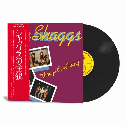 SHAGGS / シャッグス / SHAGGS' OWN THING（LP) / SHAGGS' OWN THING (LP)