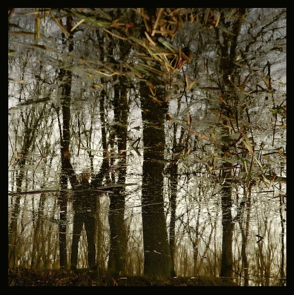 APOPTOSE / アポトース / BANNWALD