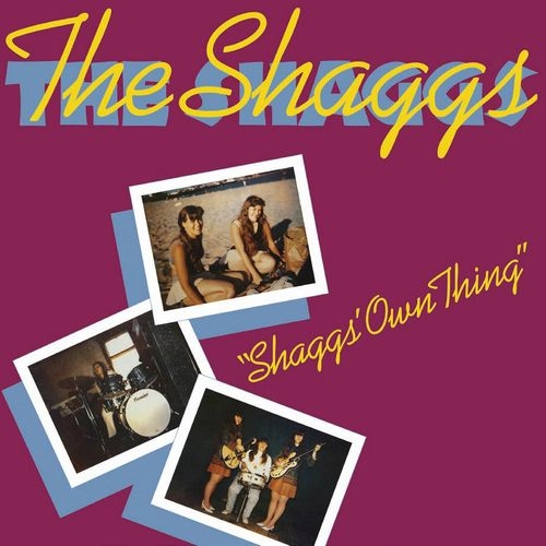 SHAGGS / シャッグス / シャッグスズ･オウン･シング / SHAGGS' OWN THING