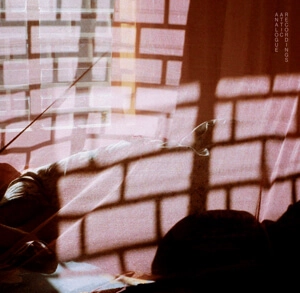 THOMAS GRAY & LIAM EBBS / RECOLLECTION OF EVERYTHING BEAUTIFUL
