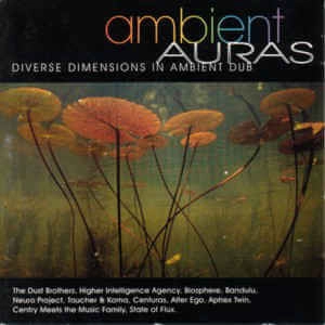 V.A. / オムニバス / AMBIENT AURAS: DIVERSE DIMENSIONS IN AMBIENT DUB