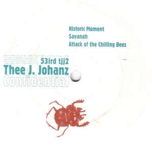 THEE J. JOHANZ / CONFIDENTIAL