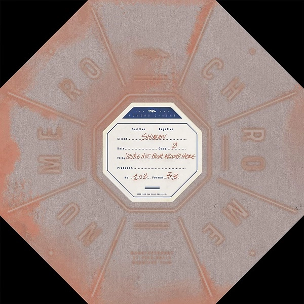 V.A. (THE CABINET OF CURIOSITIES) / YOU'RE NOT FROM AROUND HERE (LP)