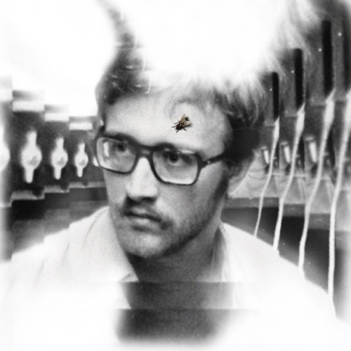DAMAGED BUG / BUG ON YONKERS（LP) / BUG ON YONKERS (LP)