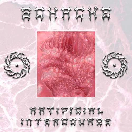 SCHACKE / ARTIFICIAL INTERCOURSE