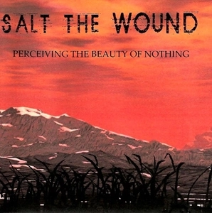 SALT THE WOUND / PERCEIVING THE BEAUTY OF NOTHING