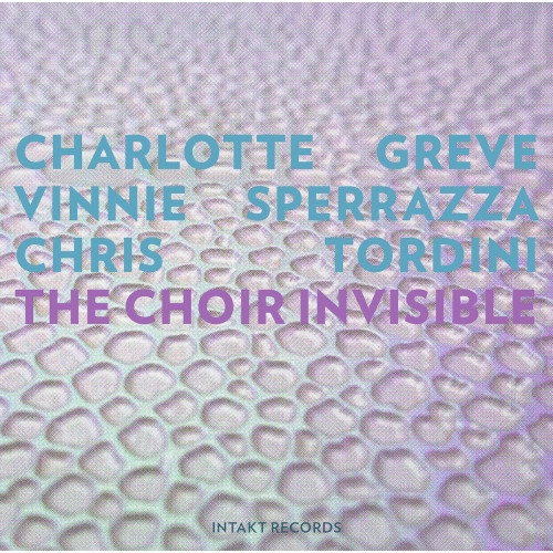 VINNIE SPERRAZZA / ビニー・スペラッツァ / CHOIR INVISIBLE
