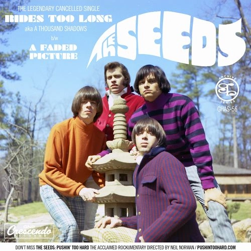 SEEDS / シーズ / A THOUSAND SHADOWS / A FADED PICTURE（7") / A THOUSAND SHADOWS/A FADED PICTURE (7")