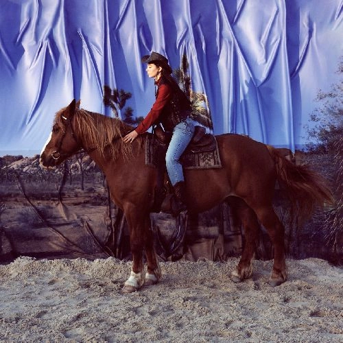 HOLY MOTORS / ホーリー・モーターズ / HORSE (CD)