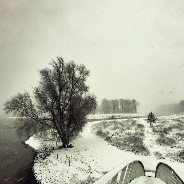 BEEQUEEN / ビクイーン / WINTER（LP) / WINTER (LP)