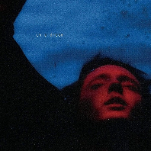 TROYE SIVAN / トロイ・シヴァン / IN A DREAM