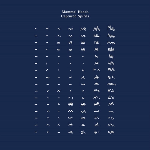 MAMMAL HANDS / ママル・ハンズ / CAPTURED SPIRITS(CLEAR VINYL)