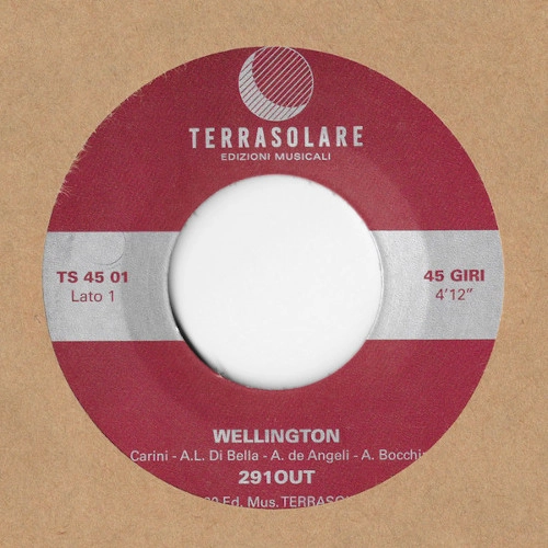 291OUT / "Wellington(7"")"