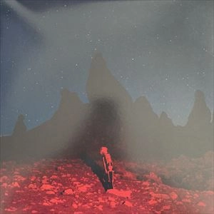 PHOEBE BRIDGERS / フィービー・ブリジャーズ / PUNISHER (BLUE WITH KIND OF SWIRLY SILVER VINYL)