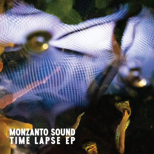 MONZANTO SOUND / モンザント・サウンド / "Time Lapse(12"")"