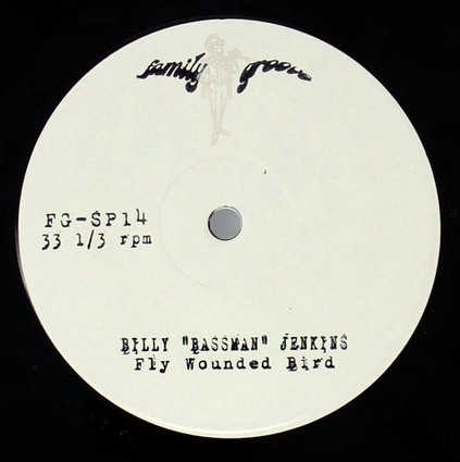 BILLY JENKINS / FLY WOUNDED BIRD