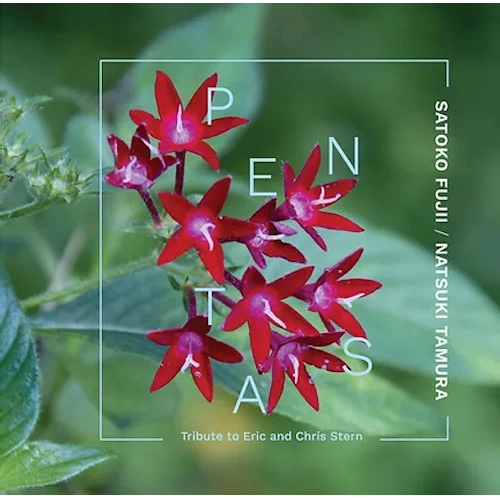 SATOKO FUJII / 藤井郷子 / PENTAS:TRIBUTE TO ERIC AND CHRIS STERN / PENTAS:TRIBUTE TO ERIC AND CHRIS STERN 