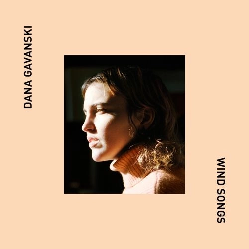 DANA GAVANSKI / ダナ・ガヴァンスキー / WIND SONG（12") / WIND SONG (12")