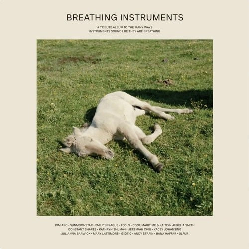 V.A. / BREATHING INSTRUMENTS（2LP) / BREATHING INSTRUMENTS (2LP)