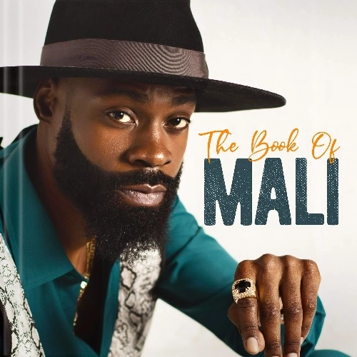 MALI MUSIC / THE BOOK OF MALI