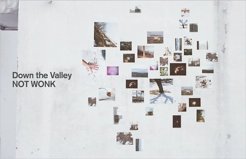 NOT WONK / Down the Valley (CASSETE)