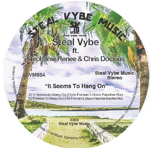 STEAL VYBE / IT SEEMS TO HANG ON