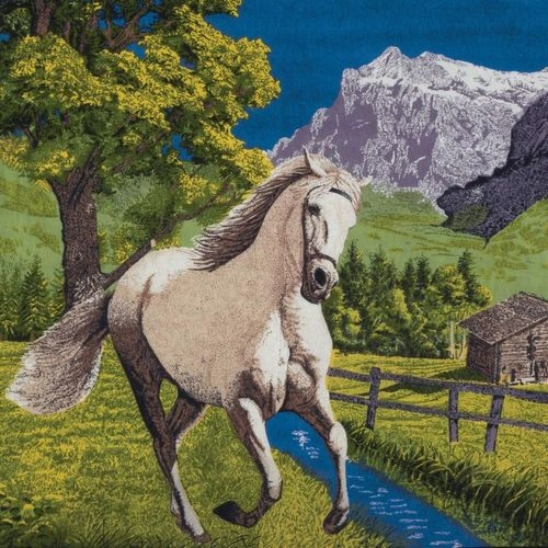 HEATHER TROST / PETRICHOR（LP) / PETRICHOR (LP)
