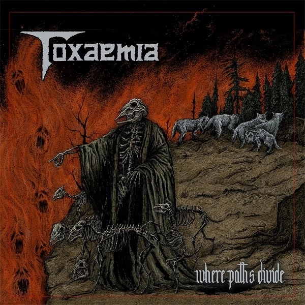 TOXAEMIA / WHERE PATHS DIVIDE