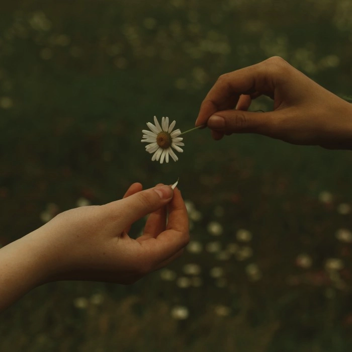 GOLDMUND / ゴールドムンド / The Time It Takes