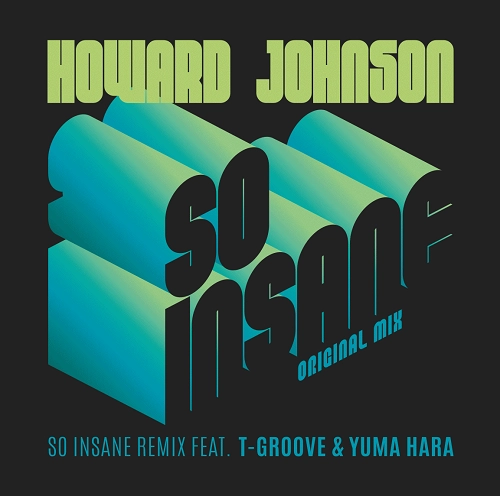 HOWARD JOHNSON / ハワード・ジョンソン / SO INSANE / SO INSANE（T-GROOVE & YUMA HARA REMIX) / SO INSANE / SO INSANE (T-GROOVE & YUMA HARA REMIX)