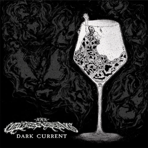 CLEANSING (FIN/HC) / DARK CURRENT