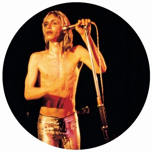 IGGY POP / STOOGES (IGGY & THE STOOGES) / イギー・ポップ / イギー&ザ・ストゥージズ / MORE POWER - A GORGEOUS PICTURE DISC VINYL（LP) / MORE POWER - A GORGEOUS PICTURE DISC VINYL (LP)