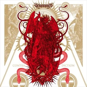 SCHAMMASCH / CONTRADICTION