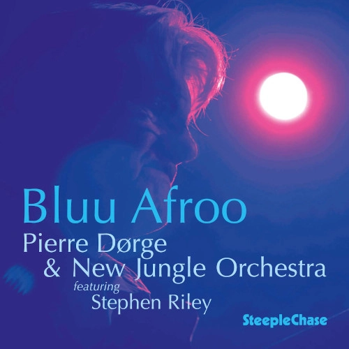 PIERRE DORGE / ピエール・ドゥルジュ / BLUU AFROO