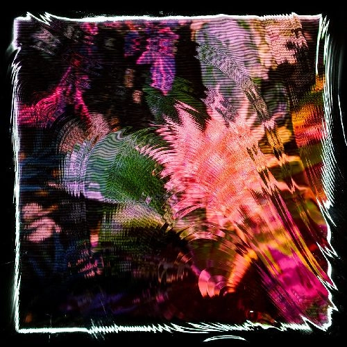 CAMILA FUCHS / KIDS TALK SUN (CD)