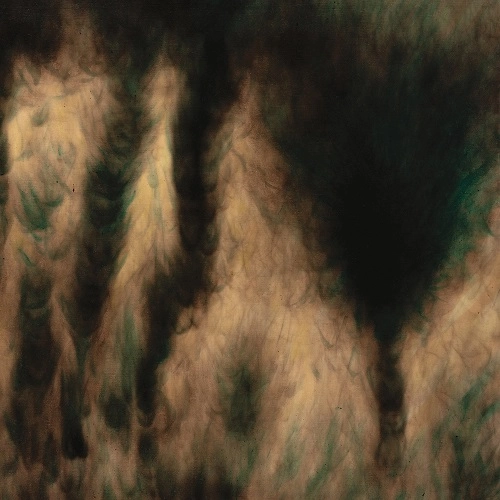 WILLIAM BASINSKI / ウィリアム・バシンスキー / LAMENTATIONS（COLORED VINYL) / LAMENTATIONS (COLORED VINYL)