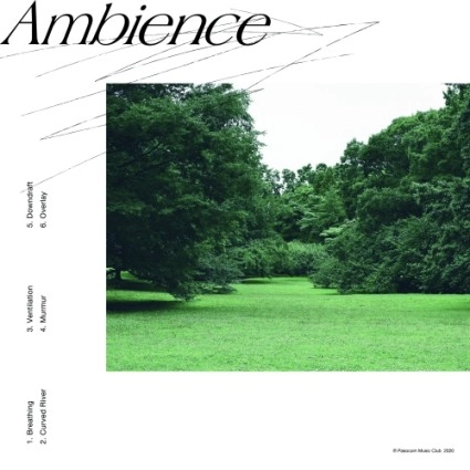 Pasocom Music Club / パソコン音楽クラブ / Ambience
