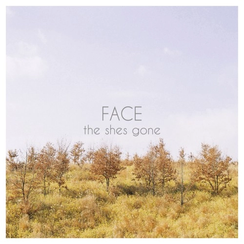 the shes gone / FACE