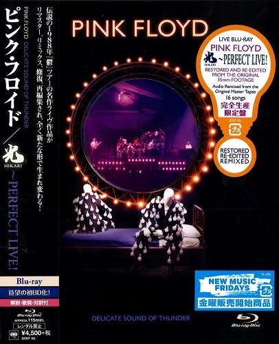 PINK FLOYD / ピンク・フロイド / 光~PERFECT LIVE! / "DELICATE SOUND OF THUNDER: RESTORED, RE-EDITED & REMIXED"