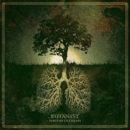 BOTANIST / ボタニスト / フォトシンセシス / PHOTOSYNTHESIS