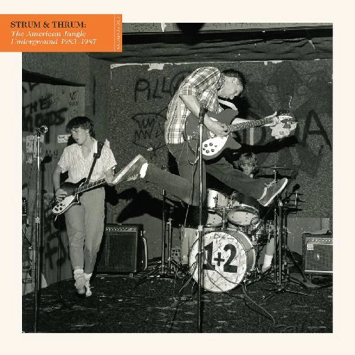 V.A. / STRUM & THRUM: THE AMERICAN JANGLE UNDERGROUND 1983-1987 (2CD)