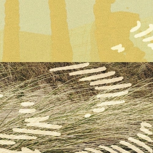 PARRIS / TERRAPIN EP