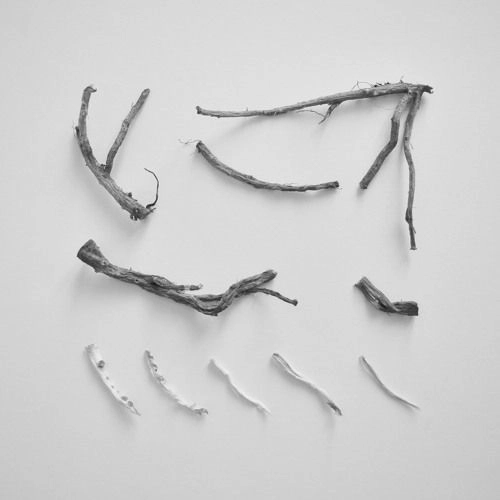 RICHARD SKELTON / THESE CHARMS MAY BE SUNG OVER A WOUND（2LP) / THESE CHARMS MAY BE SUNG OVER A WOUND (2LP)