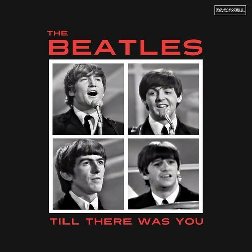 BEATLES / ビートルズ / TILL THERE WAS YOU（BLUE VINYL) / TILL THERE WAS YOU (BLUE VINYL)