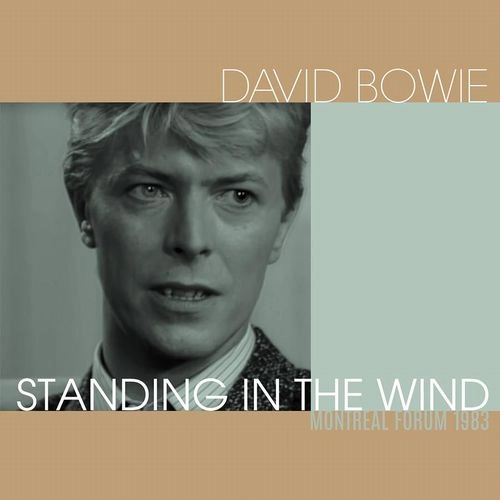 DAVID BOWIE / デヴィッド・ボウイ / STANDING IN THE WIND（CLEAR VINYL) / STANDING IN THE WIND (CLEAR VINYL)
