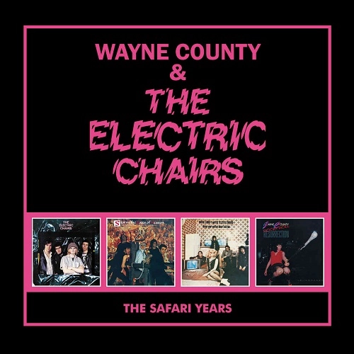 WAYNE COUNTY & THE ELECTRIC CHAIRS / ウェイン・カウンティー&ザ・エレクトリック・チェアーズ / THE SAFARI YEARS (4CD)