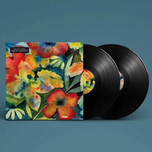 ADRIANNE LENKER / エイドリアン・レンカー / SONGS AND INSTRUMENTALS (2LP)